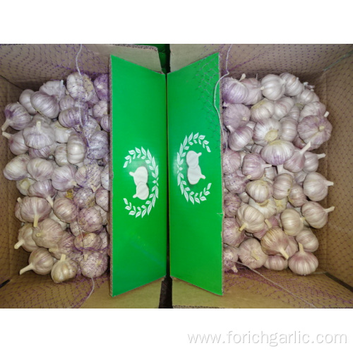 Size 5.0cm Normal White Garlic